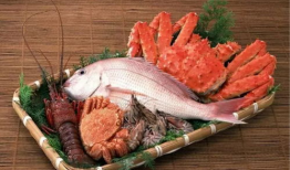 小厨娘美食记吃瓜爆料视频,揭秘网红美食背后的秘密，吃瓜爆料视频大揭秘